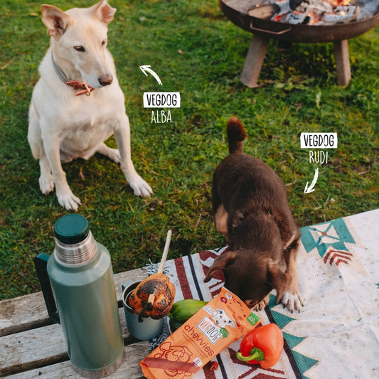 Chevvies XL Hundsnacks – BBQ-rökiga Tuggpinnar 200 g