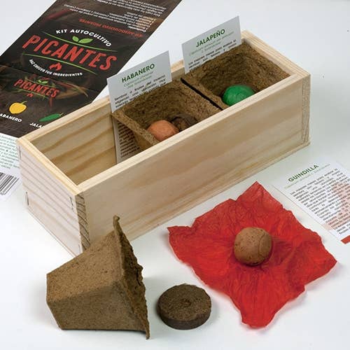 Odlingskit med chili, jalapeño och habanero