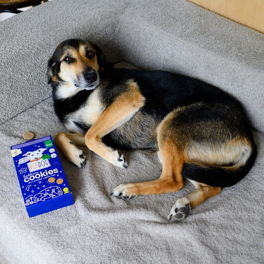 Bedtime Cookies Hundgodis 400 g