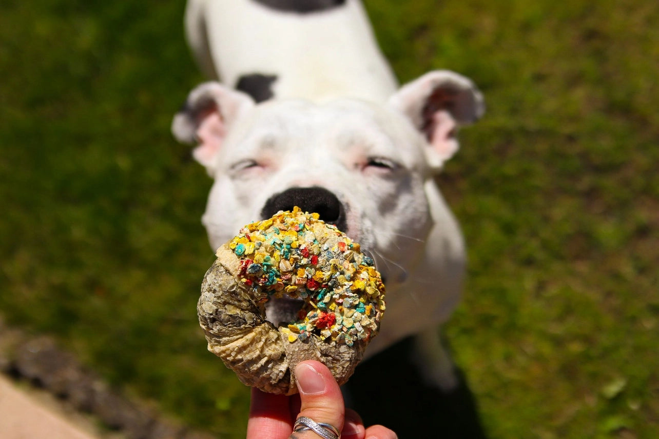 Candy Crush Paket - Lufttorkade hundgodisar med dogfetti 200 g