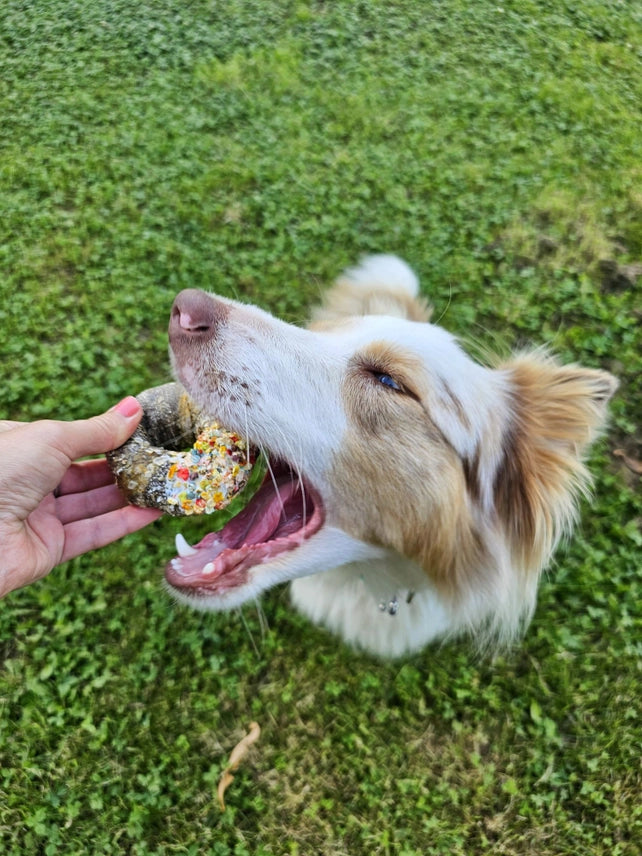 Candy Crush Paket - Lufttorkade hundgodisar med dogfetti 200 g