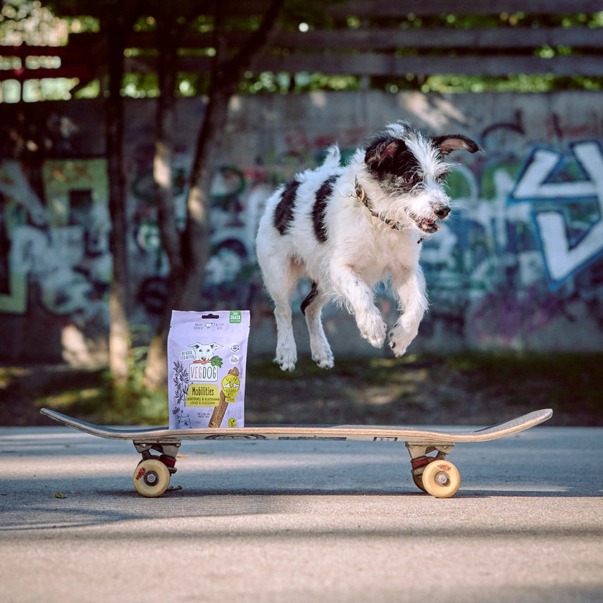 Mobilities Minis – Lettvektsgodbiter til hund for ledd 115 g