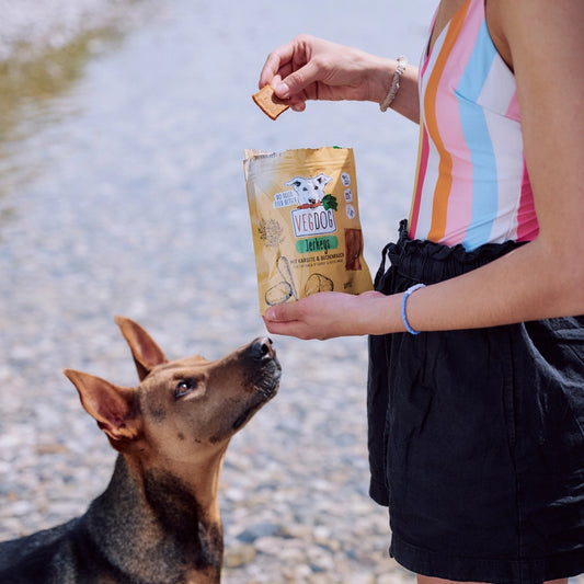 Jerkeys – Växtbaserat & Hypoallergent Hundsnack 80 g