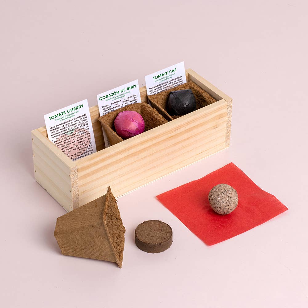 Mini tomatodling – odlingskit med tre sorter